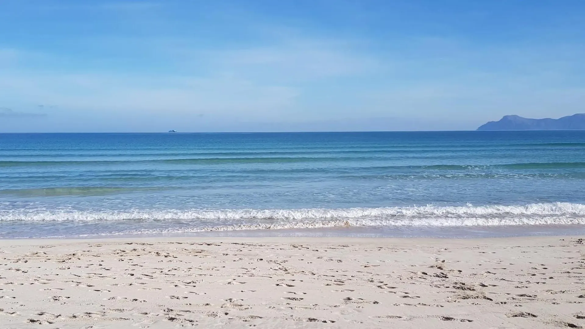 Ideal Property Mallorca - Butterfly Alcudia
